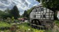 Boltenmühle (2024) Boltenmühle (2024)