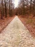 Gepflasterte Strassen - Mitten im Wald nicht unüblich in der Region
