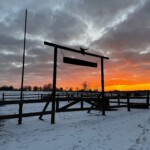 Cattle Hill Ranch im Februar 2026