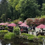 Blick in den Biergarten in Boltenmühle (2024)